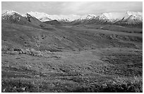 Tundra and Alaska Range near Eielson. Denali National Park, Alaska, USA. (black and white)