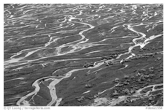Braids of the Mc Kinley River near Eielson. Denali National Park (black and white)