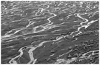 Braids of the Mc Kinley River near Eielson. Denali National Park ( black and white)