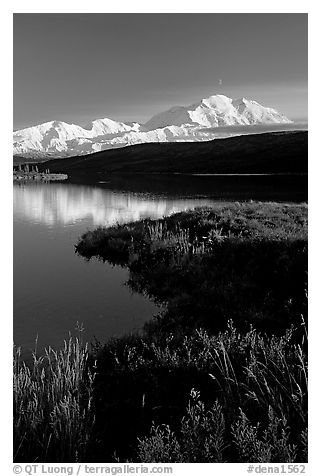 Mt Mc Kinley above Wonder Lake, evening. Denali National Park (black and white)