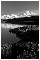Mt Mc Kinley above Wonder Lake, evening. Denali National Park, Alaska, USA. (black and white)