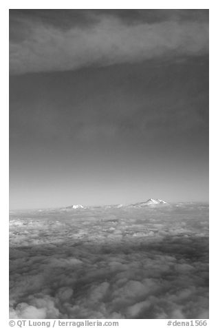 Mt Foraker and Mt Mc Kinley emerge from  sea of clouds. Denali National Park (black and white)