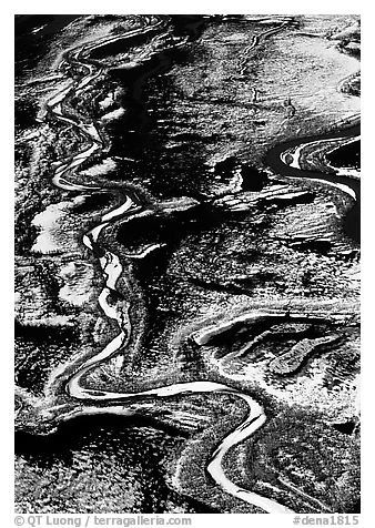 Frozen braided rivers. Denali National Park (black and white)