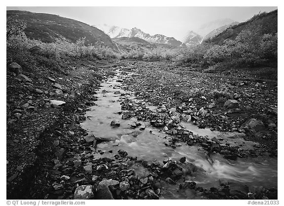 Creek near Polychrome Pass. Denali National Park (black and white)