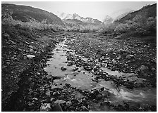 Creek near Polychrome Pass. Denali National Park ( black and white)
