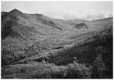 Gentle valley and river with low vegetation. Denali National Park ( black and white)