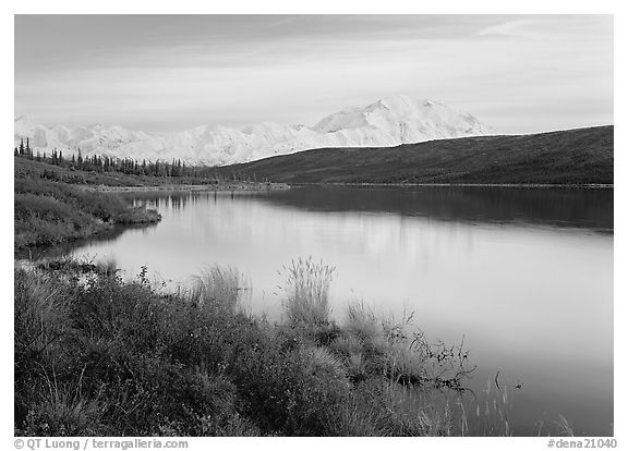 Wonder Lake and Mt McKinley at dusk. Denali  National Park (black and white)