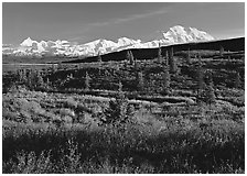 Tundra and Mt McKinley range, late afternoon light. Denali National Park ( black and white)