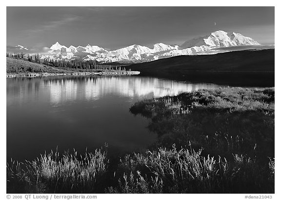 Mt Mc Kinley above Wonder Lake, evening. Denali  National Park (black and white)