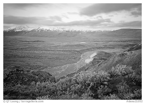 Tundra and braided rivers from Polychrome Pass, afternoon. Denali National Park (black and white)
