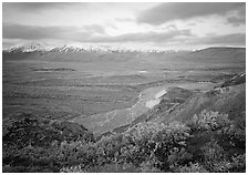 Tundra and braided rivers from Polychrome Pass, afternoon. Denali National Park ( black and white)