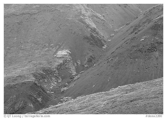 Foothills covered with tundra near Eielson. Denali National Park (black and white)