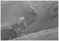 Foothills covered with tundra near Eielson. Denali National Park, Alaska, USA. (black and white)