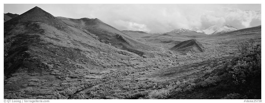 Tundra-covered foothills and valley. Denali National Park (black and white)