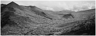 Tundra-covered foothills and valley. Denali National Park (Panoramic black and white)