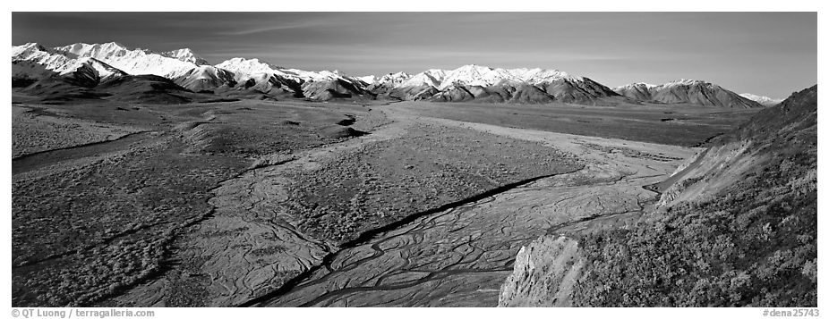 Alaskan scenery with wide braided rivers and mountains. Denali National Park (black and white)