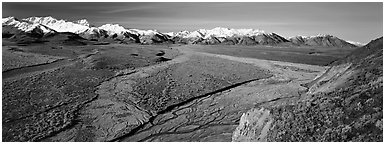 Alaskan scenery with wide braided rivers and mountains. Denali National Park (Panoramic black and white)