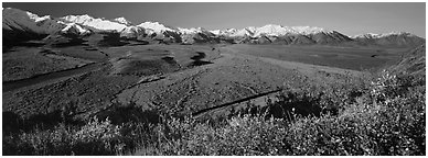 Alaskan mountain landscape with wide river valley. Denali  National Park (Panoramic black and white)