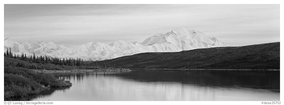 Pastel landscape with Mount McKinley reflected in lake. Denali  National Park (black and white)