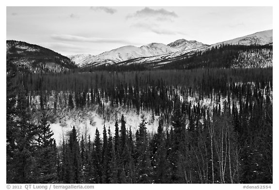Riley Creek drainage and mountains in winter. Denali National Park (black and white)