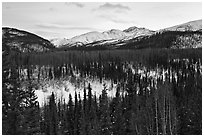 Riley Creek drainage and mountains in winter. Denali National Park ( black and white)