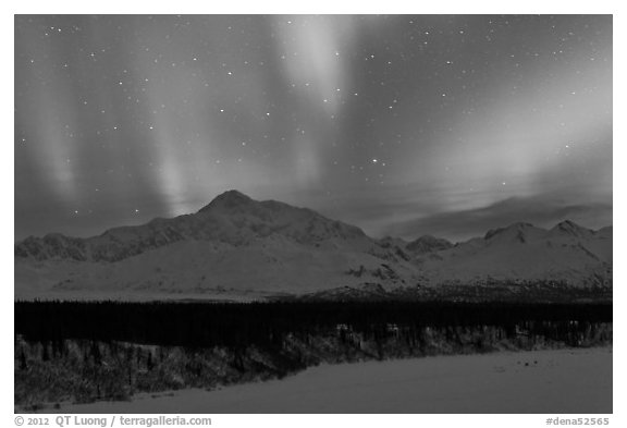 Northern lights above Mt McKinley. Denali National Park (black and white)