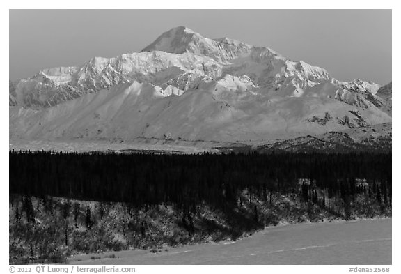 First light on Denali in winter. Denali National Park (black and white)