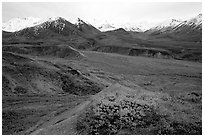 Alaska Range from Eielson. Denali National Park ( black and white)
