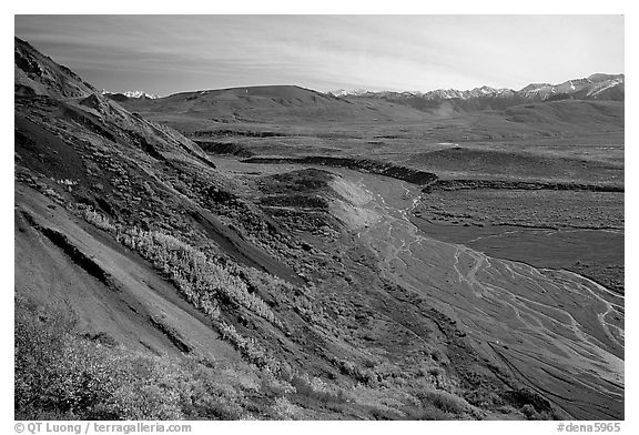 Braided river from Polychrome Pass, morning. Denali National Park (black and white)