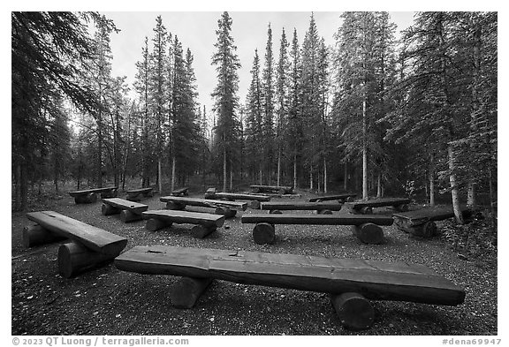 Amphitheater, Riley Creek Campground. Denali National Park (black and white)