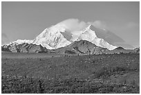 Denali from park road in autumn. Denali National Park ( black and white)