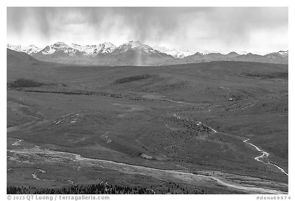 Savage River, tundra in autum color, and Alaska Range with rain. Denali National Park (black and white)