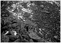 Backpacker in boulder field at the base of the Arrigetch Peaks. Gates of the Arctic National Park, Alaska (black and white)