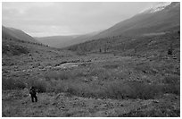 Backpacker in Arrigetch Valley. Gates of the Arctic National Park, Alaska (black and white)