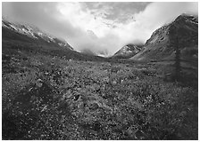 Arrigetch Peaks, tundra in fall colors, and clearing storm. Gates of the Arctic National Park ( black and white)