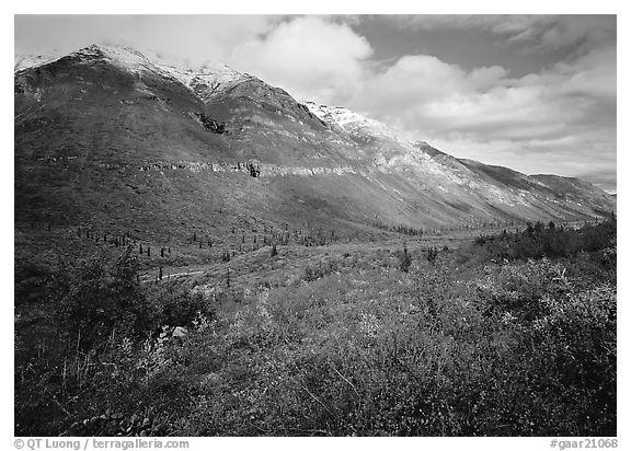 Tundra, valley, and mountains with fresh snow. Gates of the Arctic National Park (black and white)