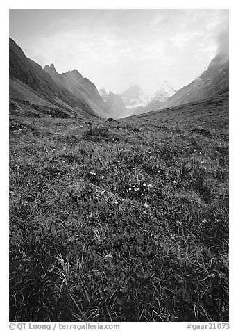 Low tundra in autum color and Arrigetch Peaks. Gates of the Arctic National Park (black and white)