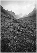 Low tundra in autum color and Arrigetch Peaks. Gates of the Arctic National Park ( black and white)