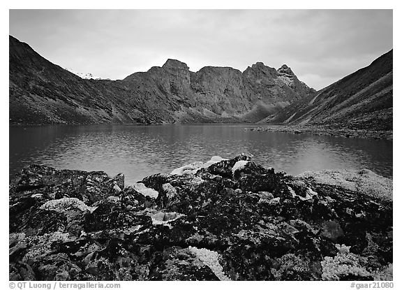 Dark rock and moss, Aquarius Lake. Gates of the Arctic National Park (black and white)