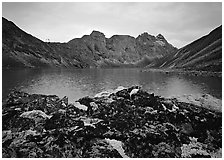 Dark rock and moss, Aquarius Lake. Gates of the Arctic National Park, Alaska, USA. (black and white)