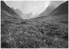 Tundra and Arrigetch Peaks. Gates of the Arctic National Park ( black and white)