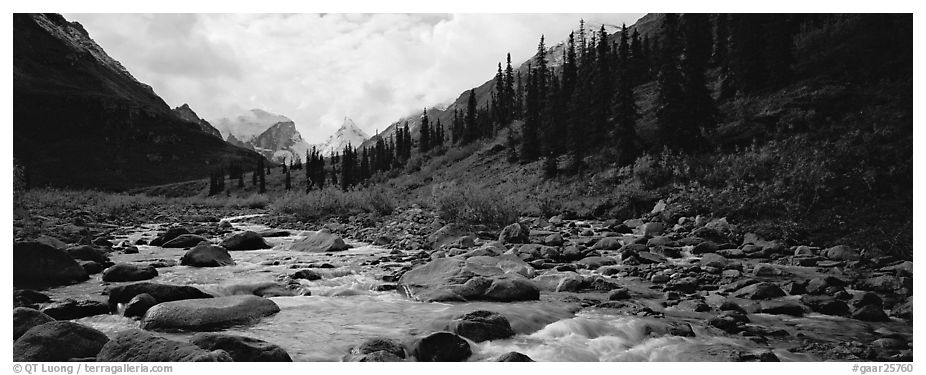 Taiga scenery with stream. Gates of the Arctic National Park (black and white)