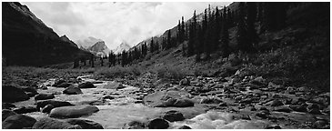 Taiga scenery with stream. Gates of the Arctic National Park (Panoramic black and white)