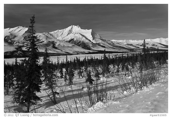 Winter landscape. Gates of the Arctic National Park (black and white)