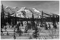 Boreal forest and brooks range in winter. Gates of the Arctic National Park ( black and white)