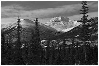 Boreal forest and snowy Brooks Range. Gates of the Arctic National Park ( black and white)