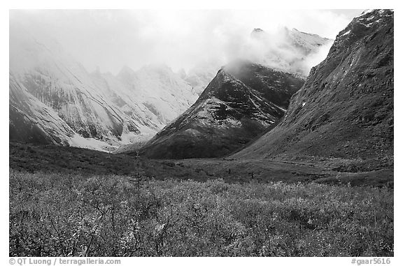 Tundra and Arrigetch Peaks partly hidden by clouds. Gates of the Arctic National Park, Alaska, USA.