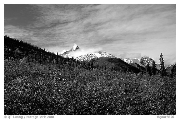 Arrigetch Peaks and tundra from Arrigetch Creek entrance, morning. Gates of the Arctic National Park (black and white)