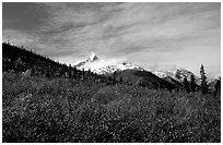 Arrigetch Peaks and tundra from Arrigetch Creek entrance, morning. Gates of the Arctic National Park ( black and white)