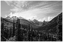 Arrigetch Peaks and spruce forest from Arrigetch Creek entrance, morning. Gates of the Arctic National Park, Alaska, USA. (black and white)